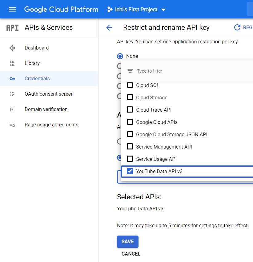 Resticting your API key for YouTube Data API